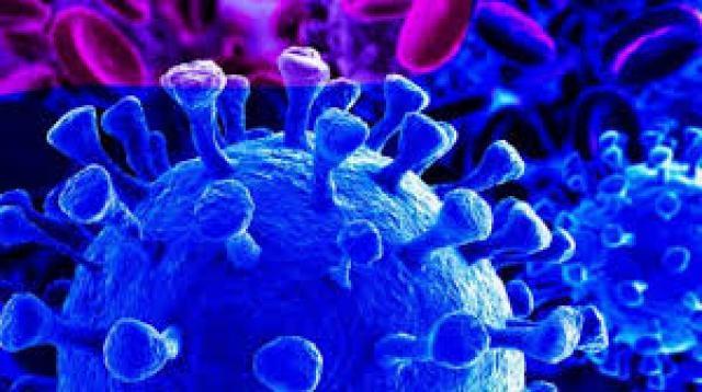  ದೆಹಲಿಯಲ್ಲಿ ಕೊರೋನಾ ಸೋಂಕಿತರ ಸಂಖ್ಯೆ 10554ಕ್ಕೇರಿಕೆ, 166 ಮಂದಿ ಮೃತ